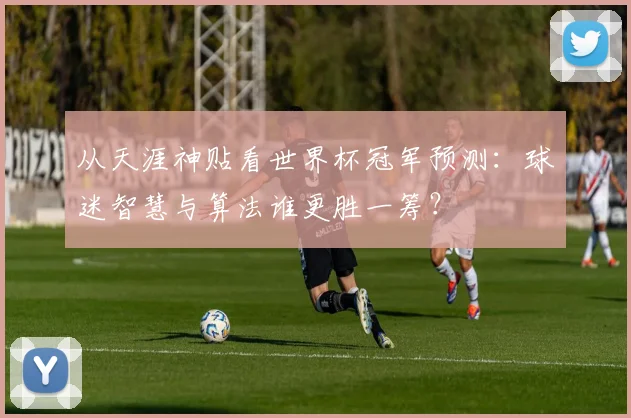 从天涯神贴看世界杯冠军预测：球迷智慧与算法谁更胜一筹？
